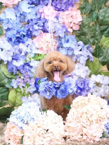 20250614このはちゃん